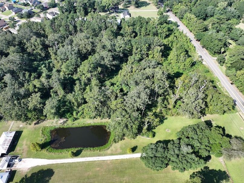 dji_fly_20250910_095344_0434_1757523438208_photo