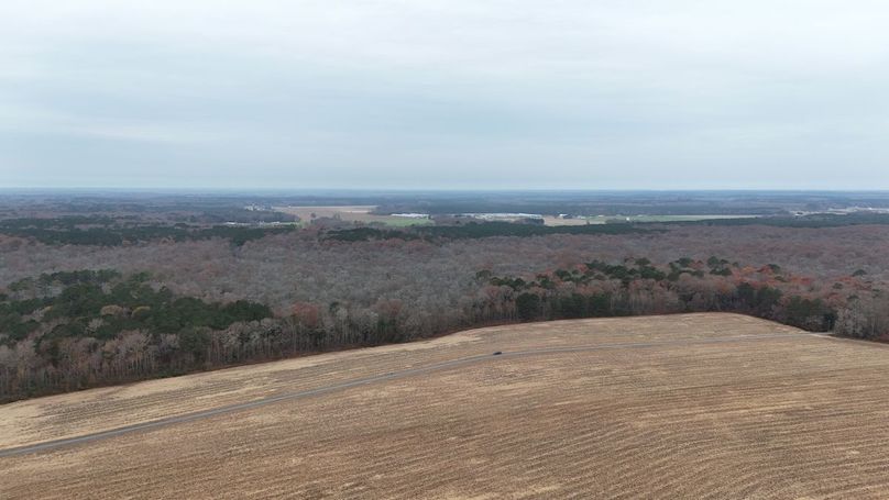 dji_fly_20251121_092804_0062_1763736172940_photo