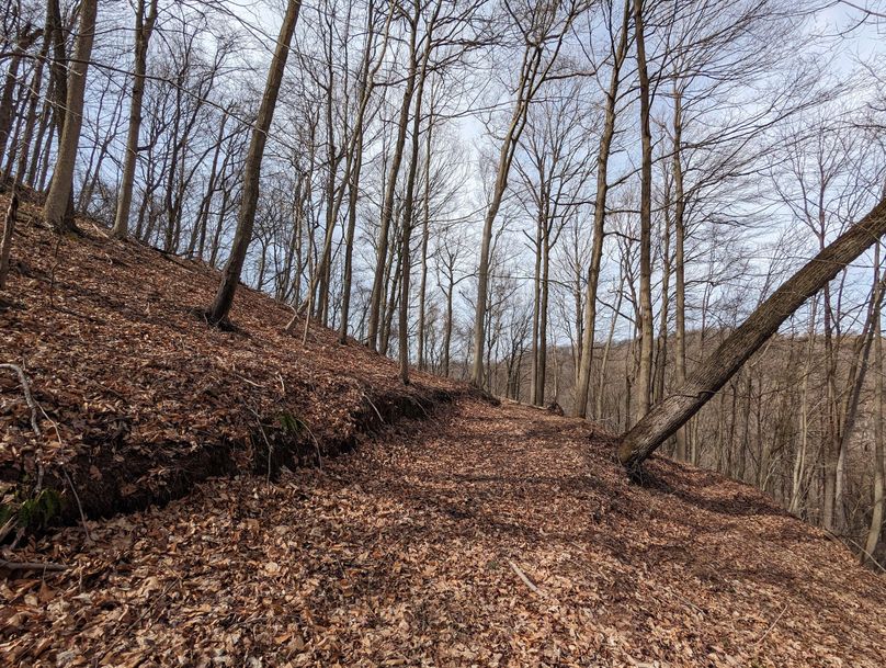 PXL_20230301_163207764