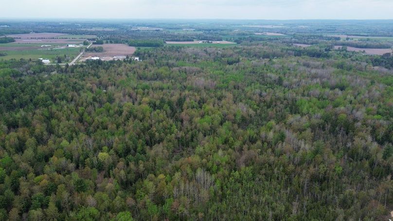 DJI_0013