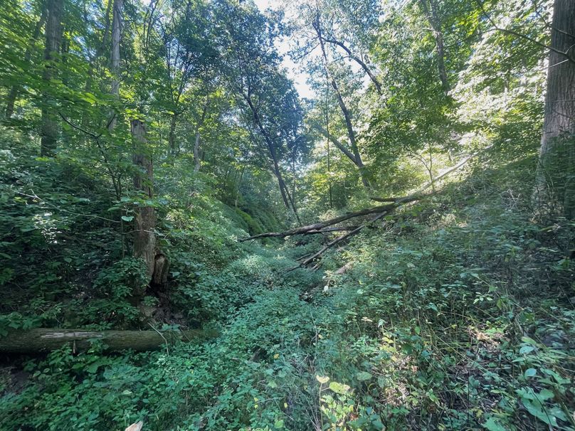 Grant 110 - 32 of 47