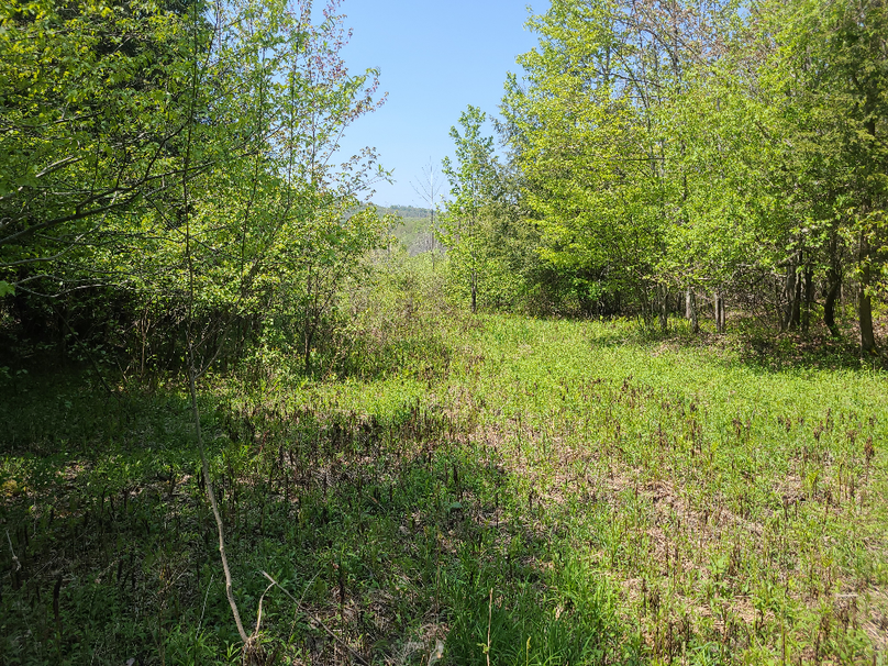 photo_d9eb6b92-ce01-465a-b256-6c2216d7264a