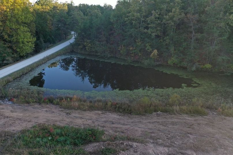 015 low elevation drone view of the south pond
