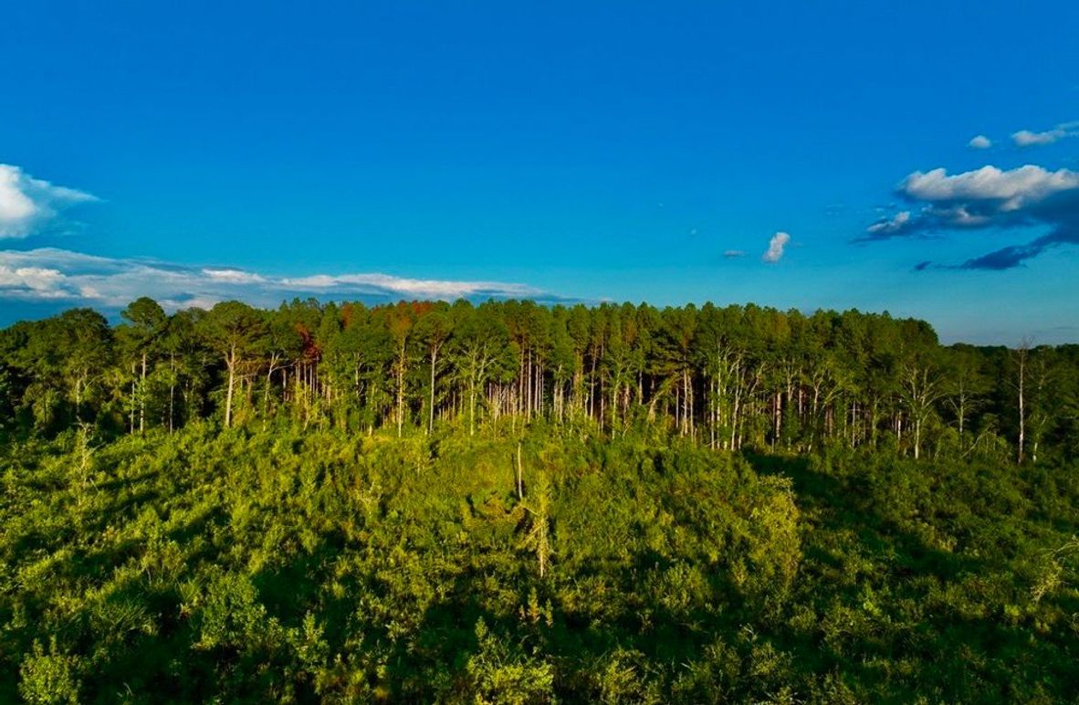 011E922C-3C0D-4AFE-9290-C1E3C4CD9D71_1_105_c-2