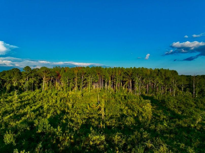 011E922C-3C0D-4AFE-9290-C1E3C4CD9D71_1_105_c-2