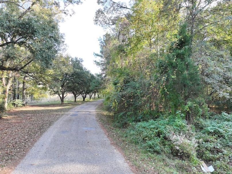 dji_fly_20251118_151944_0748_1763560712299_photo