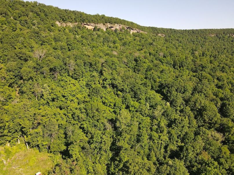 DJI_0395