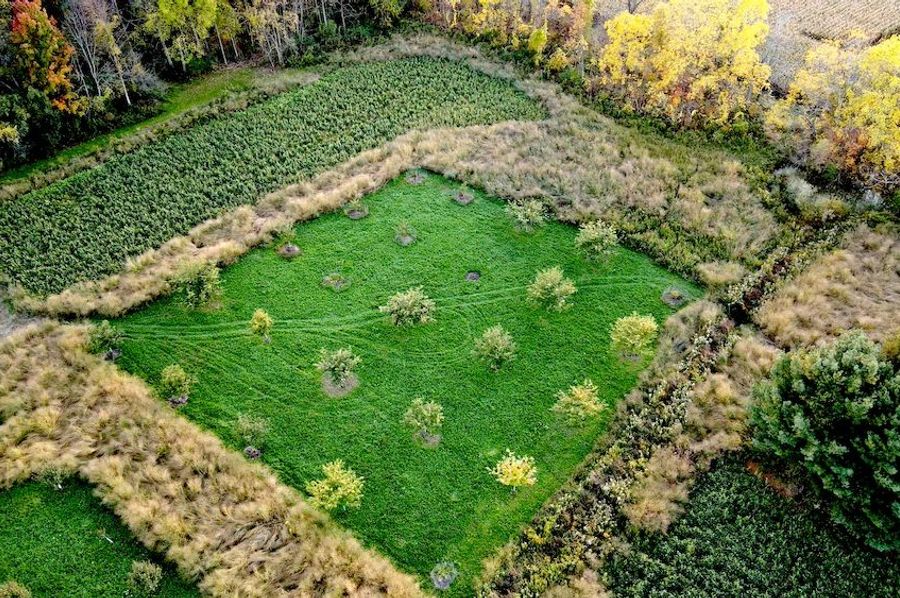 4 dji_fly_20241017_181836_729_1729203527108_photo