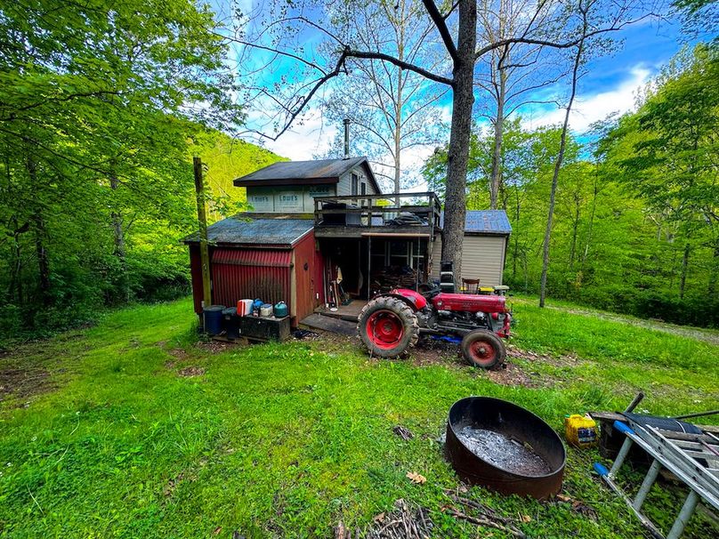 Wirt, WV 145.69 AC 273 Wildflower-60
