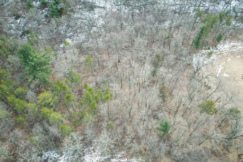 Adams 10.06 Johnson-65