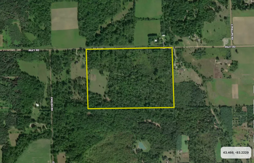 Close-up, Rainey, 55