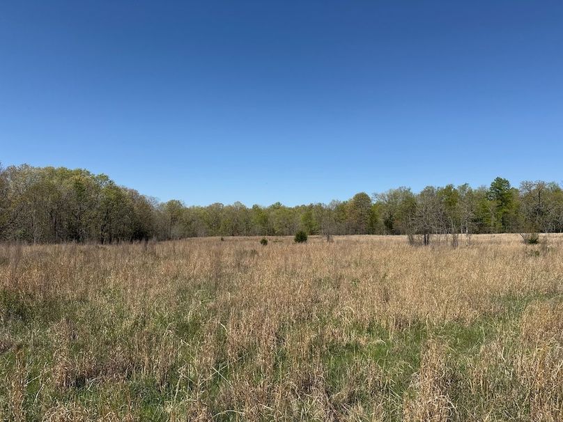 DJI_20260409_110151_838