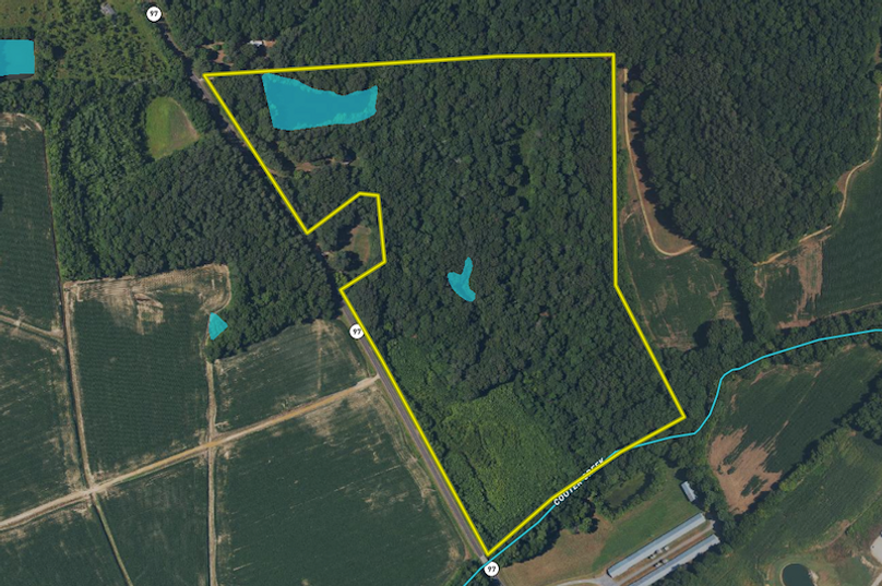 Screen Shot 2024-02-12 at 7.34.59 PM