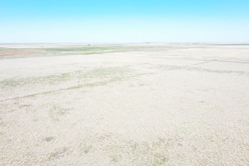 DJI_0661