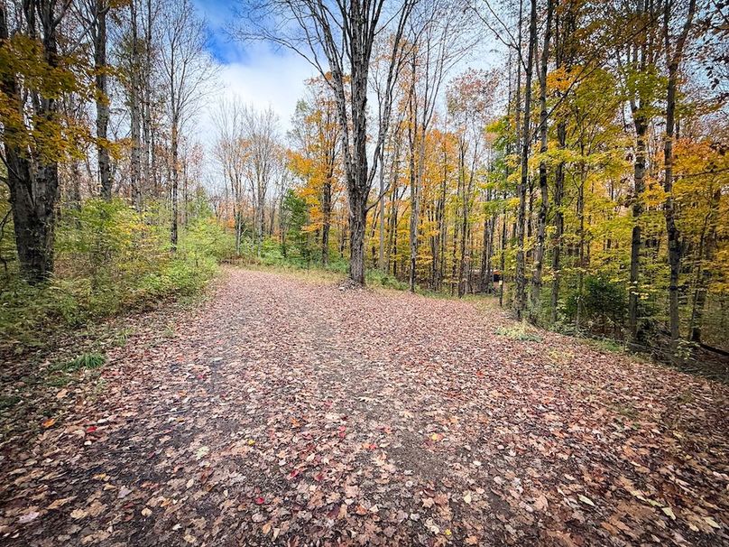 Oswego NY 6.68 Photos 38