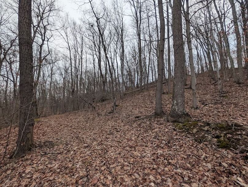 PXL_20260107_211546135