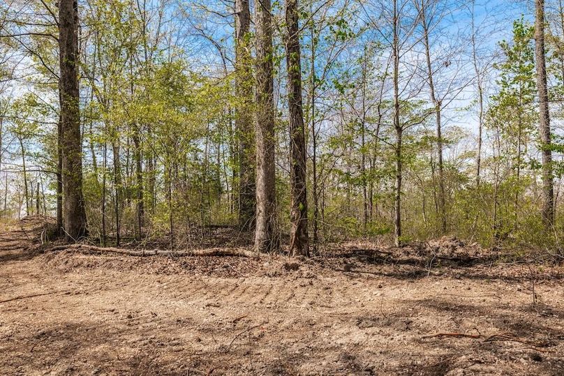 62-web-or-mls-0 Mound Creek Rd-32