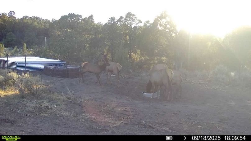 016578004060205-100-3-09182025180954-V-SYFW00117