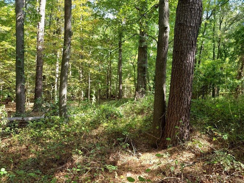 31.40ac_QAnnes_PIC_006