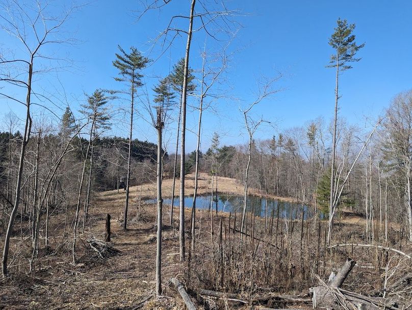 PXL_20240223_163552135