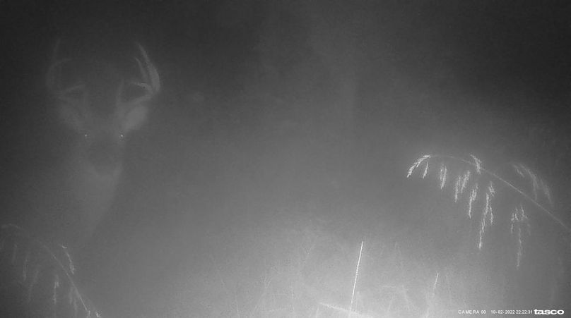 308994134_1143107872974331_5059668350571831314_n