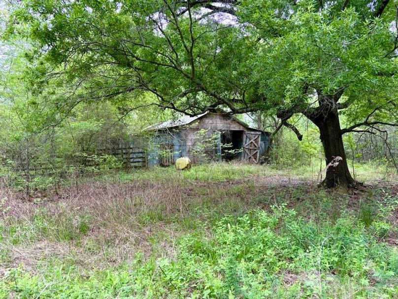 C6E1D8F9-E685-477F-99DB-81149A434FE3_1_105_c