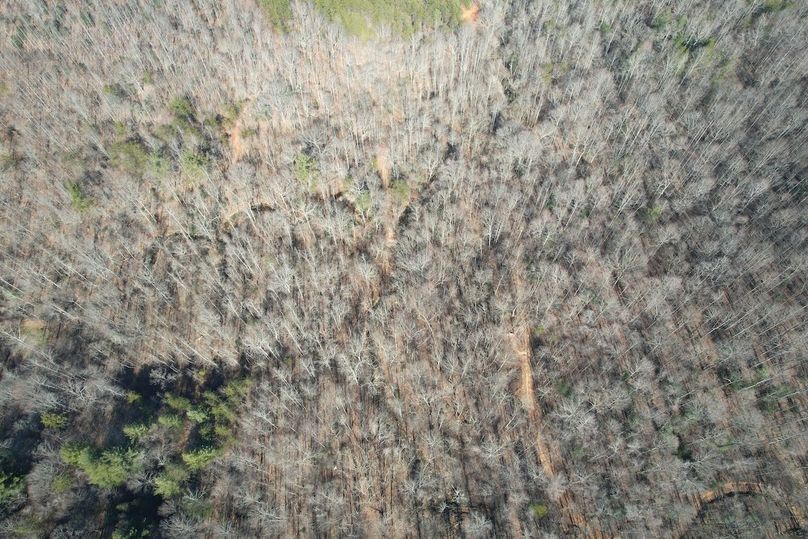 DJI_0840