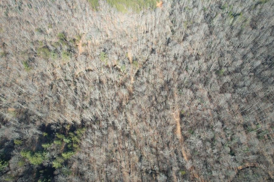 DJI_0840