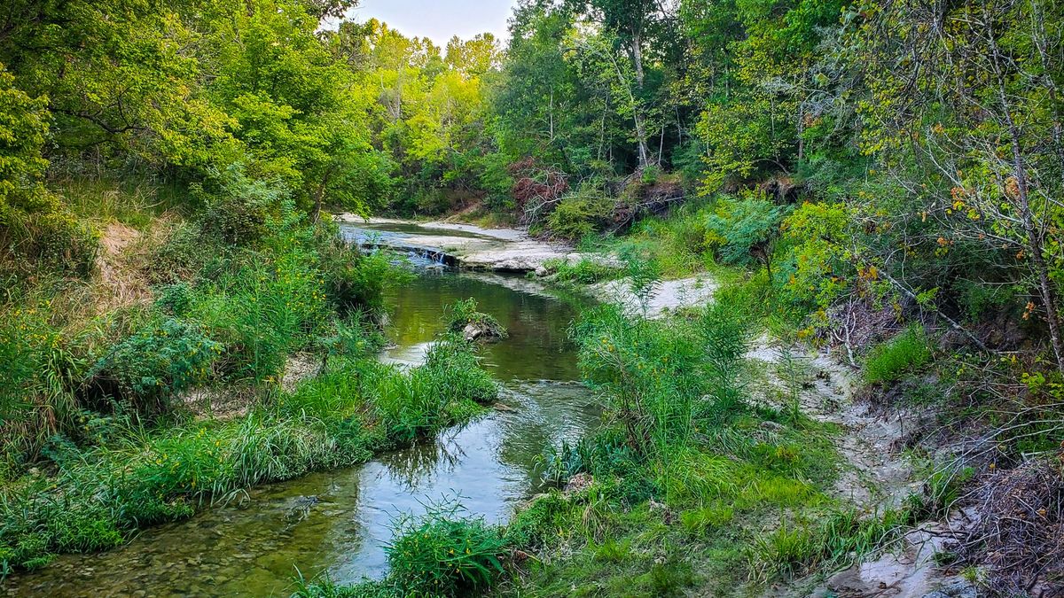 Phenomenal Live Water Property With Development Potential Whitetail