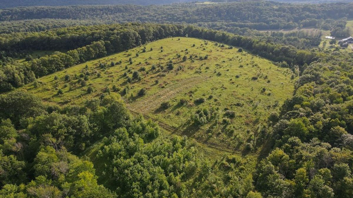 Recreational Acreage With Build Site, Woods And Fields | Whitetail ...