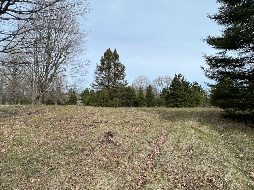 Dickinson_MI_30-19