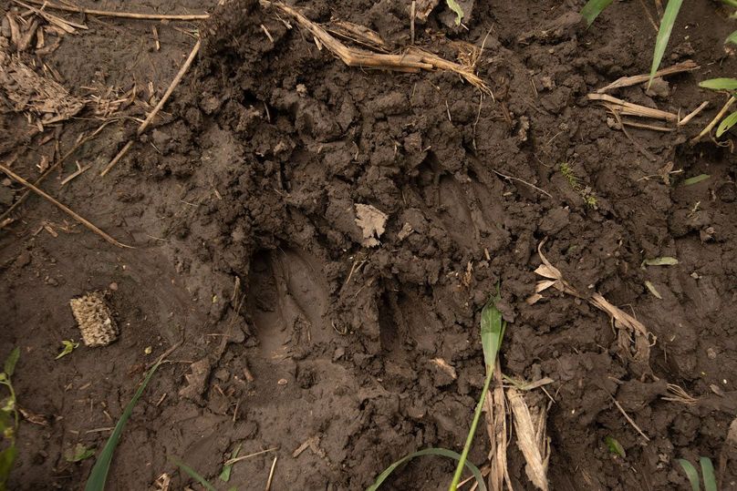 ATCHISON CO MO 31.47_15