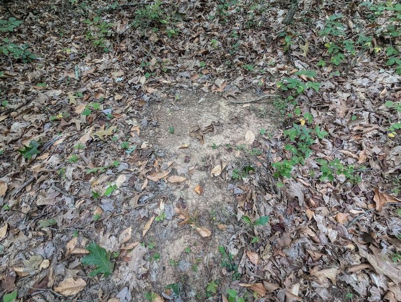 PXL_20240819_151243517