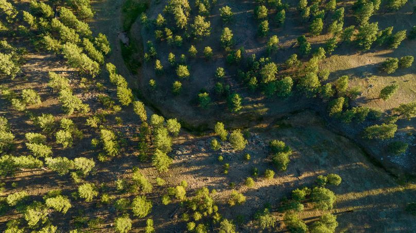 Cibola NM 13,053-0157