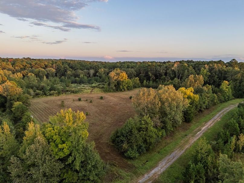 5 Edited Harison co. 206 - Ed Robb-139