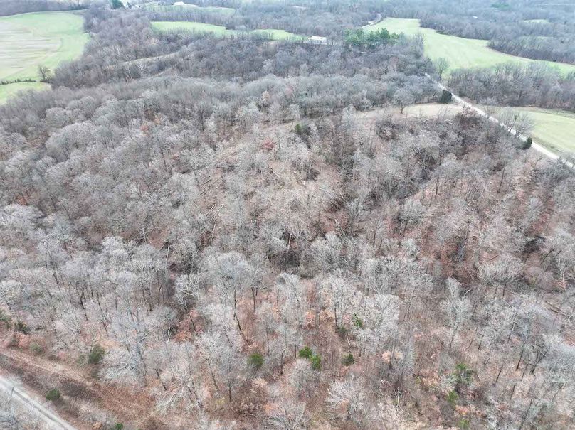 DJI_20251126164445_0313_D