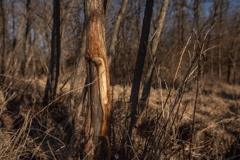 WORTH CO MO 537.44_33