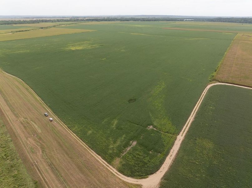 Copy of DJI_20250827133140_0142_D