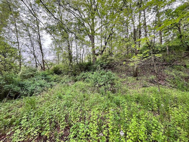 Chemung_3.5_Rouseland Photo 10