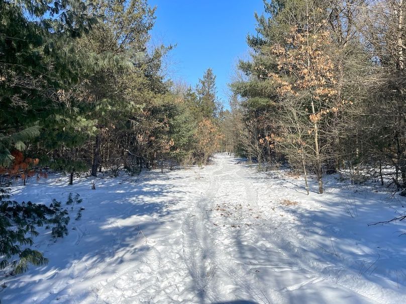 Adams 25, Nessler -42