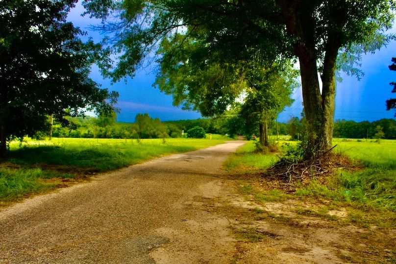 82FC4A3E-80A6-44EE-8B93-675C4C23850C_1_105_c