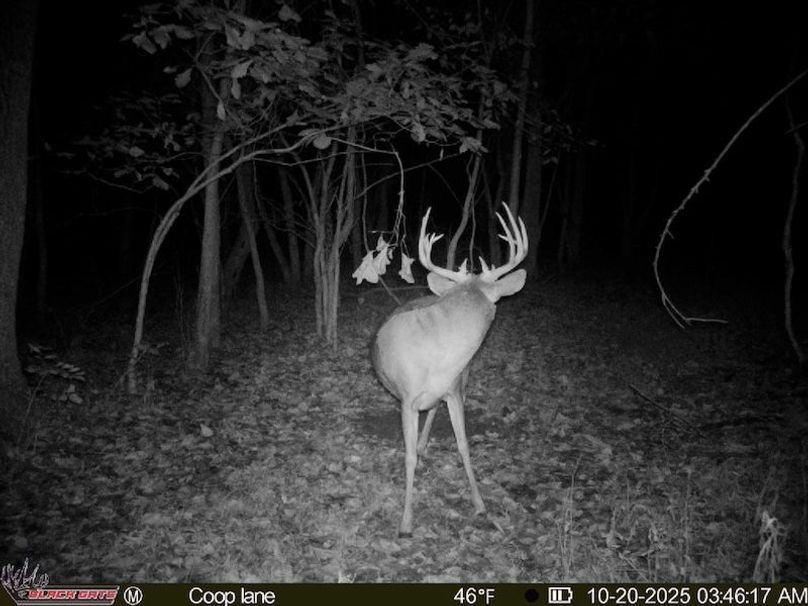 thumb-82506d6059969a737cb3ab66e017271076a34b23