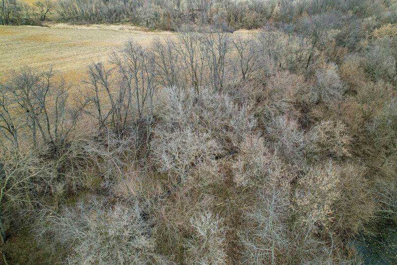 3605 Big Hill Rd.-33