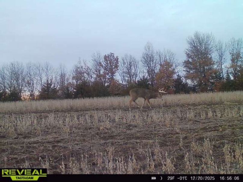 865814042165447-100-1-12202025165606-W1001720