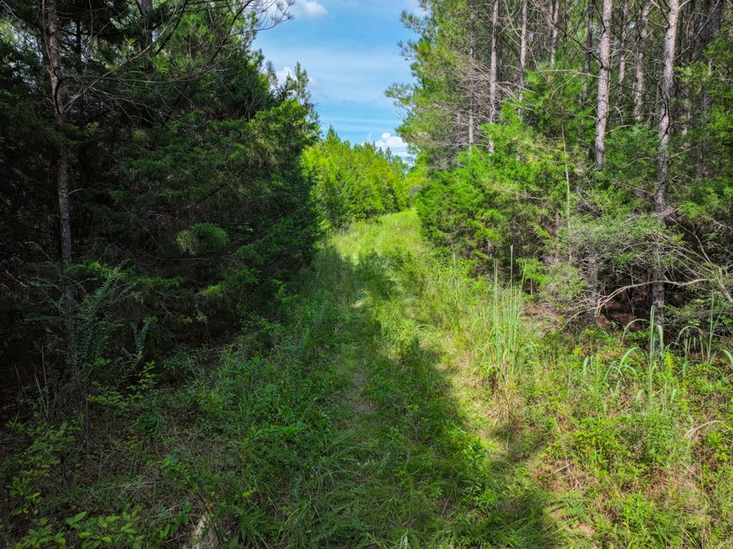 Lee County, MS 92+--19