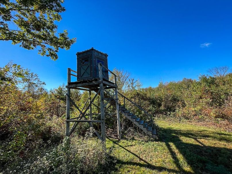 Wood 41.451, Collins -21