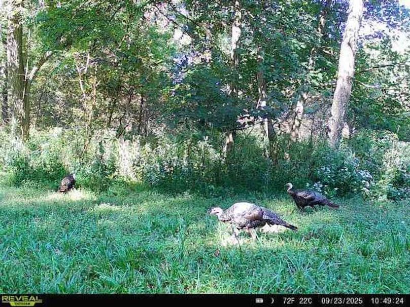 864049057528277-100-4-09232025104924-W1000783