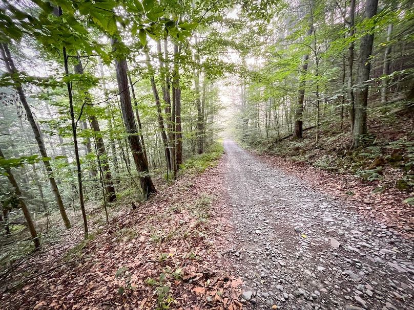 Tioga_82.5_Williams_Photos_7