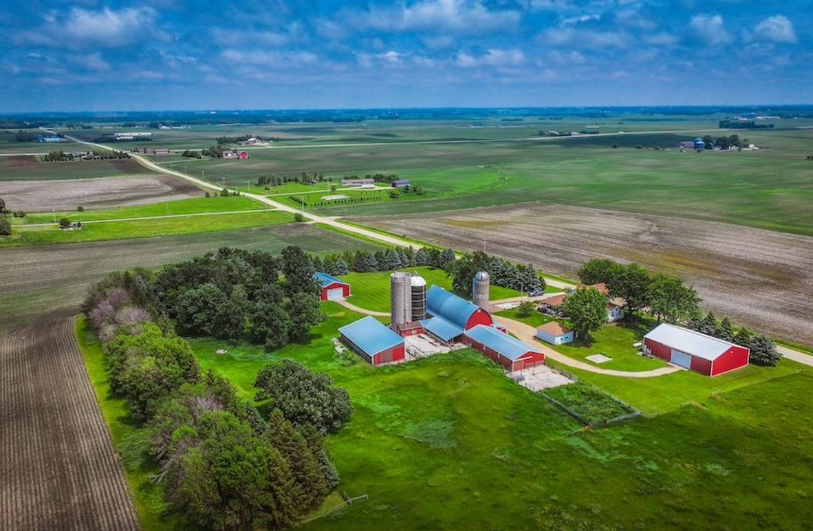 Freeborn 7.07 - NEw-01