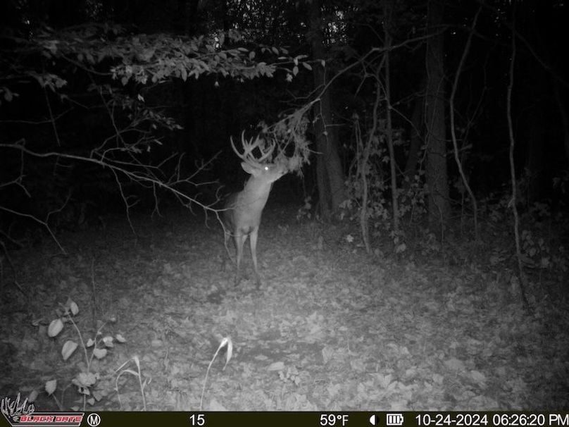 fullversion-25a4746d742a1a15ef69e9b68d41ea334f371d0e (1)